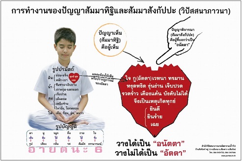 ดูที่ใจ.jpg
