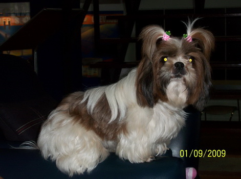 100_5642_resize_resize.JPG