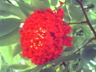 IMG0066A_resize.jpg