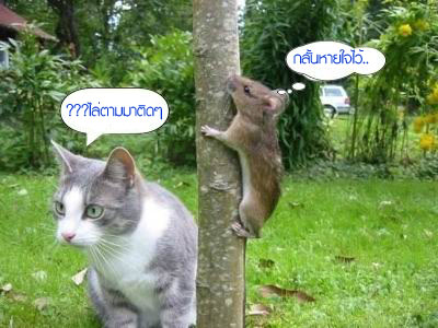 61www-bangkokcity-com.jpg