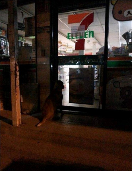 รอร้านเปิด.jpg