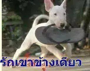 รักข้างเดียว.jpg