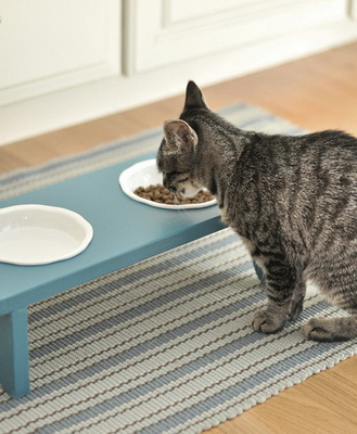 โต๊ะกินข้าวน้องเหมียว 1.jpg
