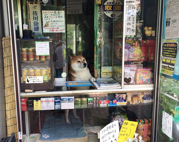 พนักงานขายของชำ.jpg
