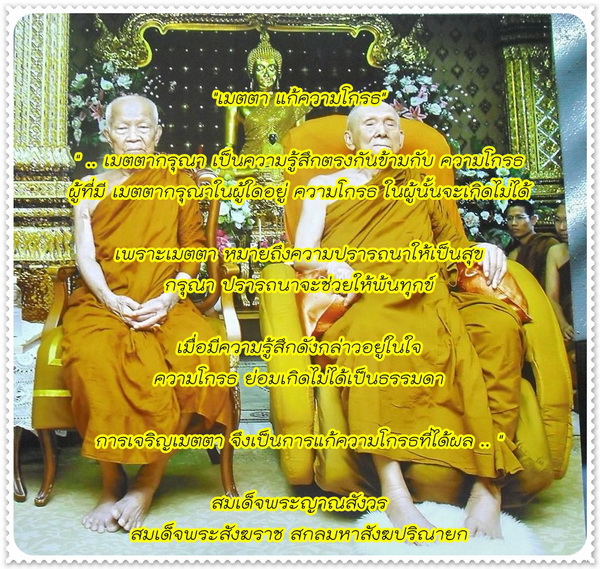 เมตตา.jpg