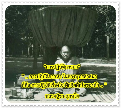 การปฏิบัติภาวนา.jpg