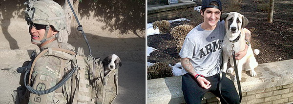 Before & After.jpg