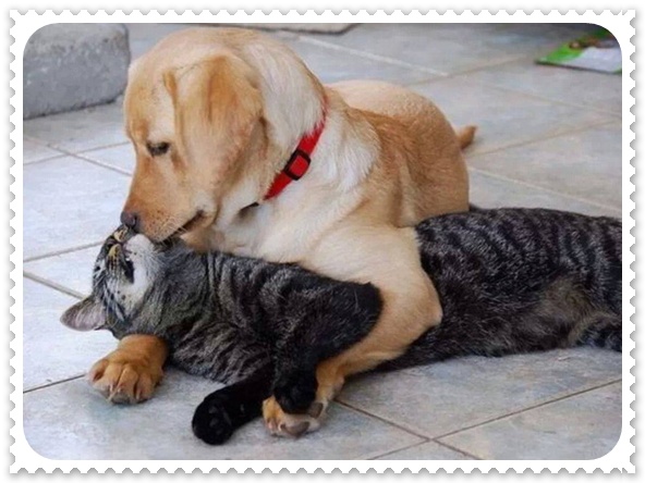 รักนะ จุ๊บจุ๊บ.jpg