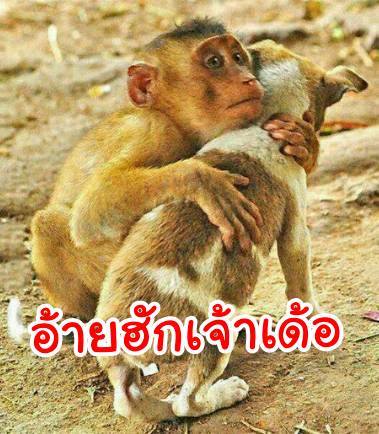 ฮักเจ้าเด้อ.jpg