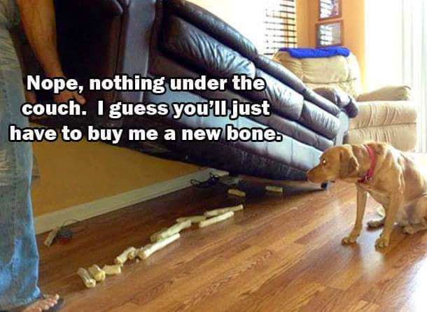 FB_IMG_1420288489035.jpg