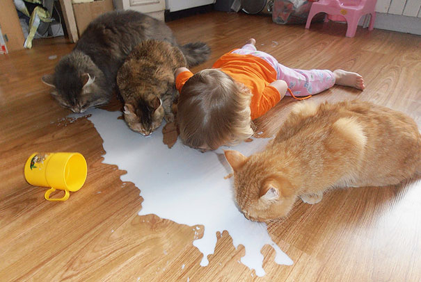kids-with-cats milk.jpg