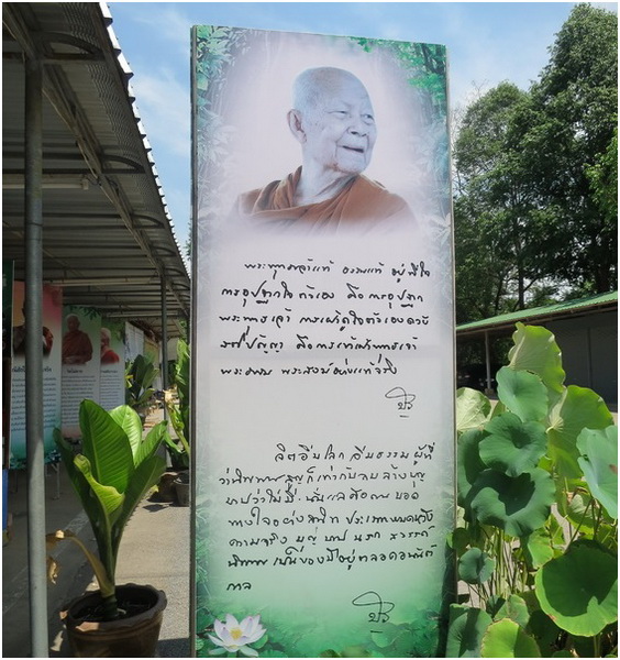 หลวงตามหาบัว ญาณสัมปันโน.JPG