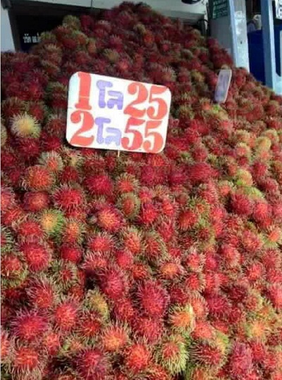 2kg.jpg