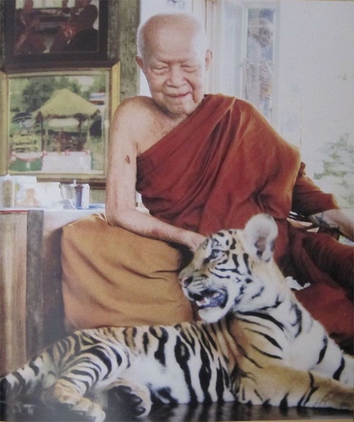 หลวงตามหาบัว ญาณสัมปันโน.jpg