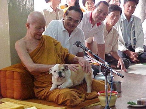 1หลวงตามหาบัว ญาณสัมปันโน.jpg