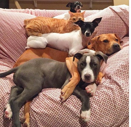 catdog1.jpg
