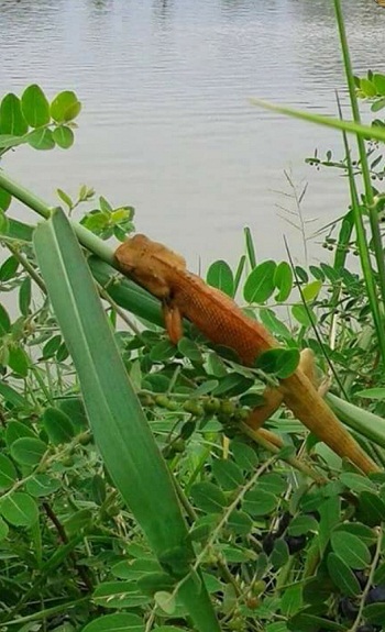 เหนื่อย.jpg