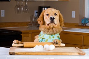 dog-baking.jpg