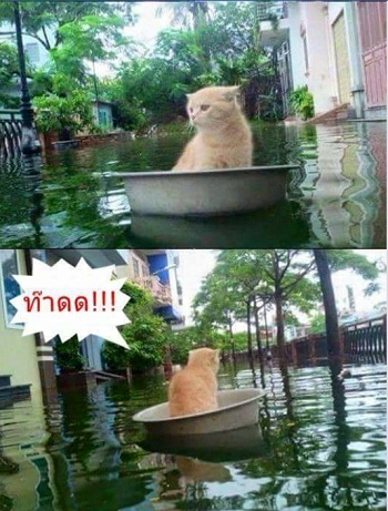 ลอยกระทง.jpg