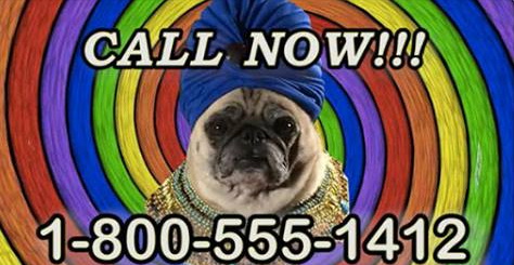 12442796_945895485489951_619730327_n.jpg