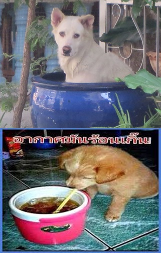 ร้อนอีหลีเด้ออ.jpg