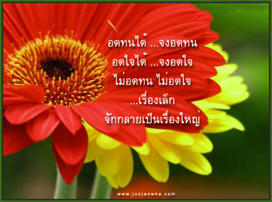 อดทนได้.jpg