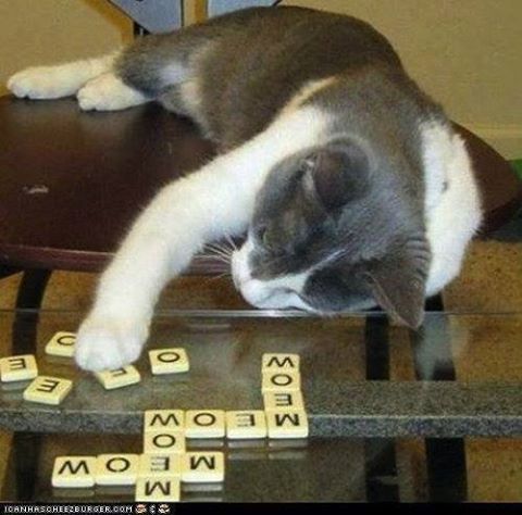 scrabble.jpg