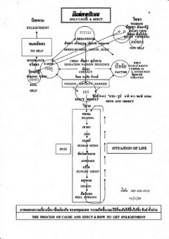 มีแต่เหตุกับผล_resize_resize-240x339.jpg
