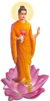 unnamed (19).png