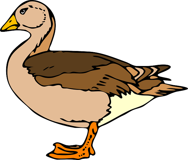 duck-24389_640.png