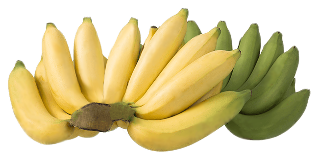 goldbanana-fat.png