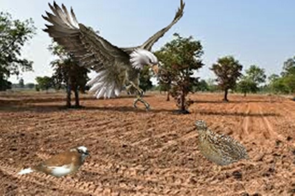 20170729_154332 (1).jpg