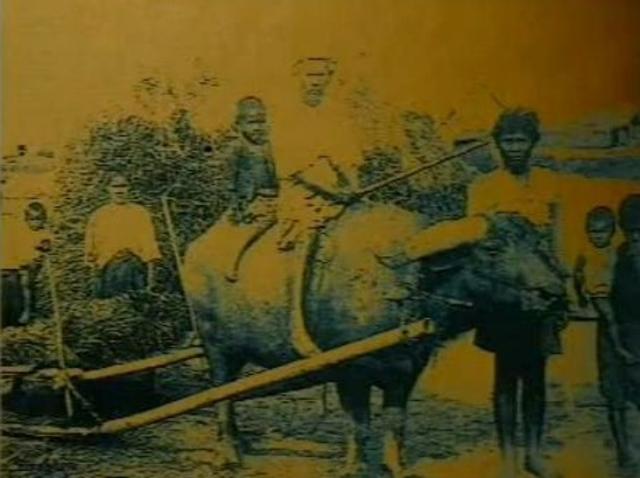 large_farmer (1).jpg