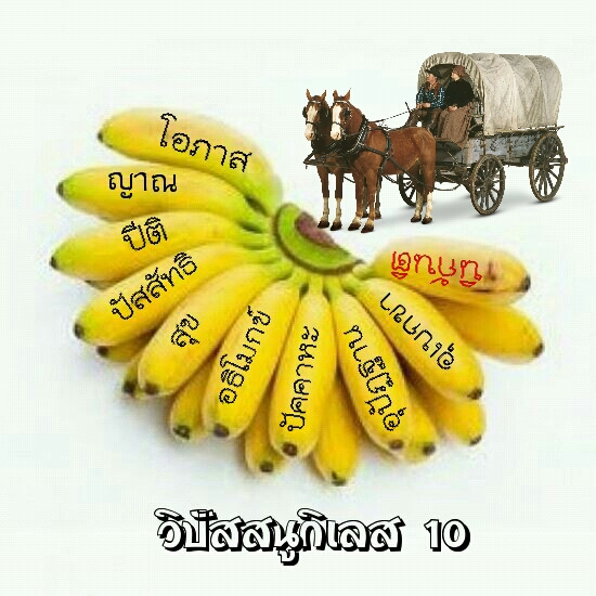 20180611_191802.jpg