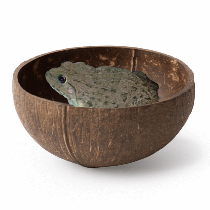 20180715_112001.png