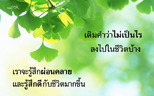 ปล่อยวาง.jpg