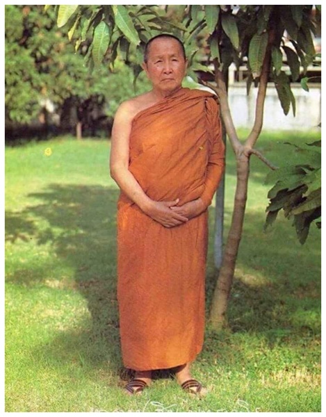 หลวงปู่สิม พุทธาจาโร.jpg