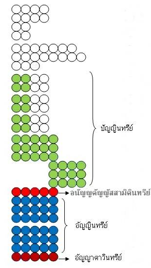 1645226253390.jpg
