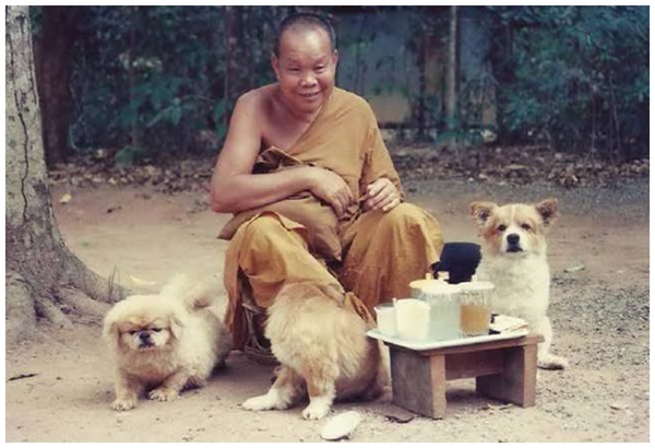 2หลวงปู่ลี กุศลธโร (3).jpg