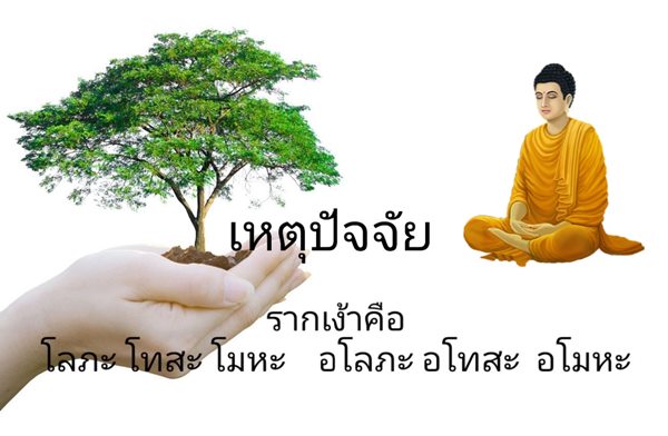 107.jpg