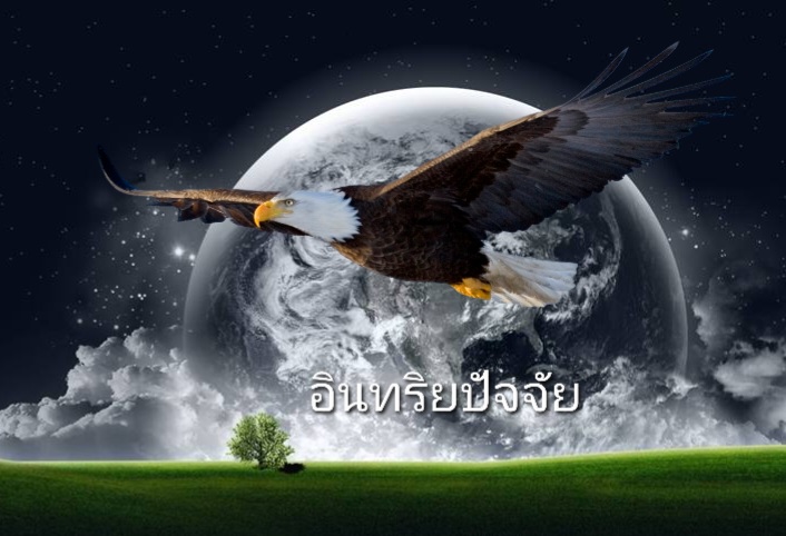 263603-qgdtxd-1.n.jpg