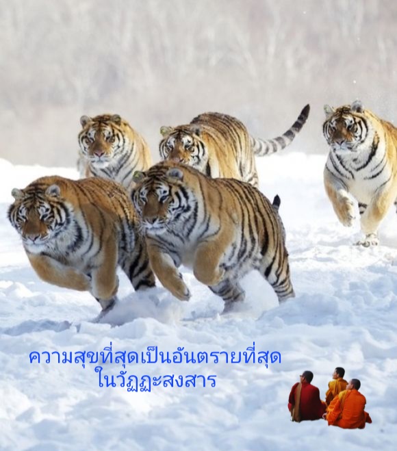 1619195418_59823_url.jpeg