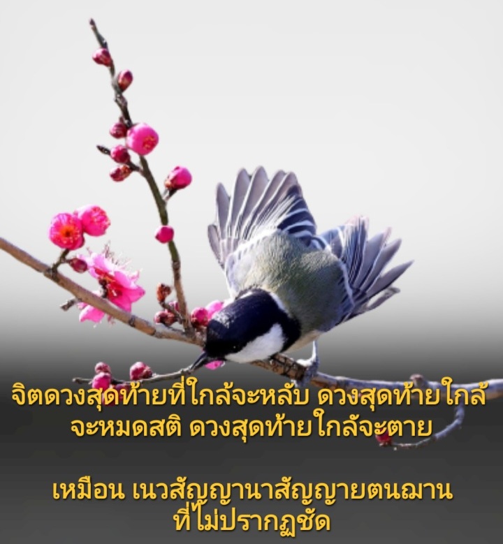 Screenshot_20240110-183702_Gallery.jpg