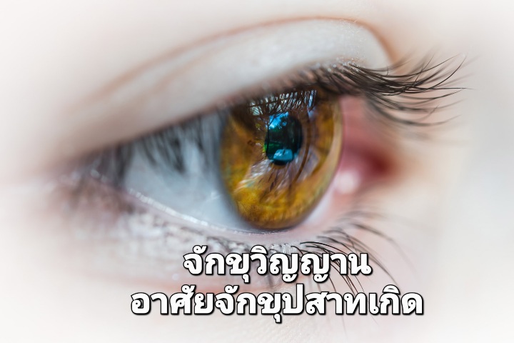eye-check-blog.jpg