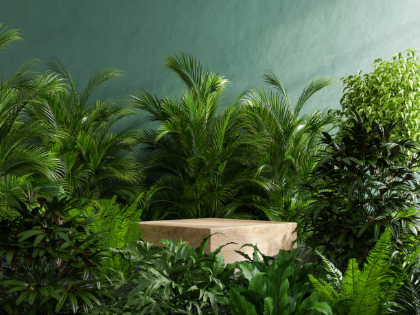 istockphoto-1392447605-612x612.jpg